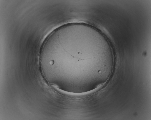 X0000116591268200912312028