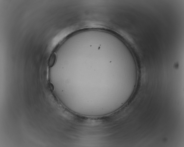 X0000116591269200912312028