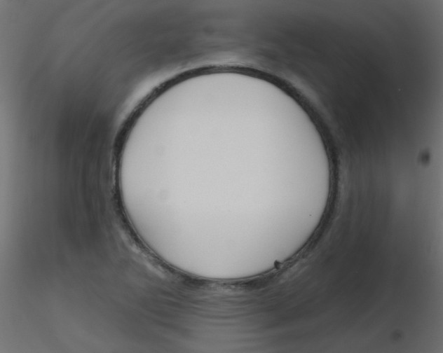 X0000116591270200912312028