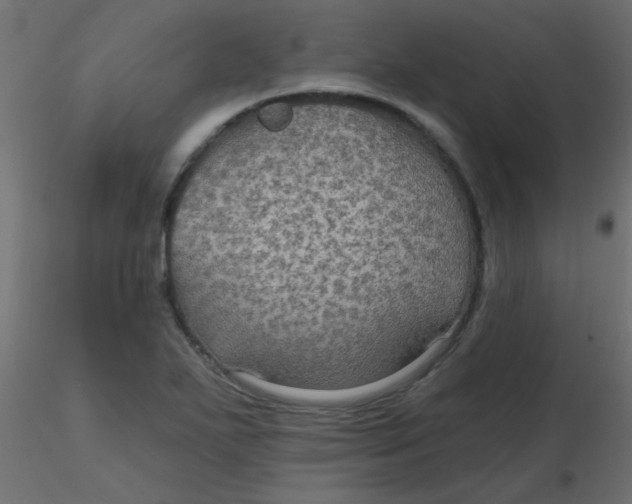 X0000116591271200912312028