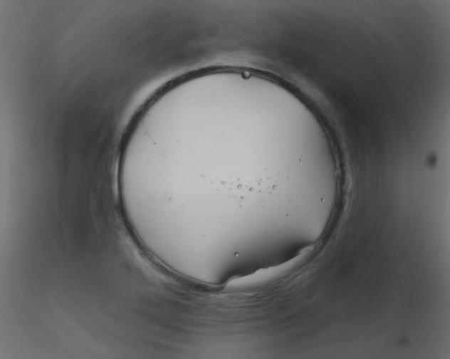 X0000116591272200912312028