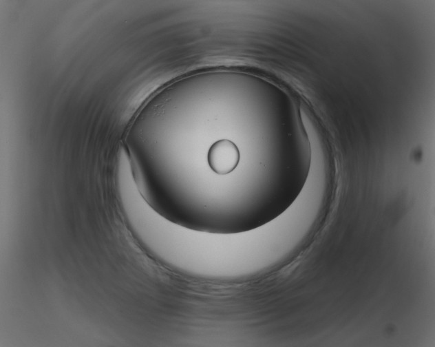 X0000116591273200912312028