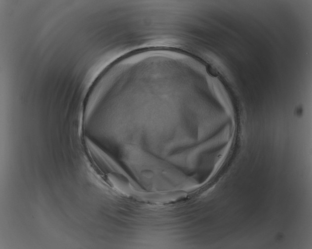 X0000116591276200912312028