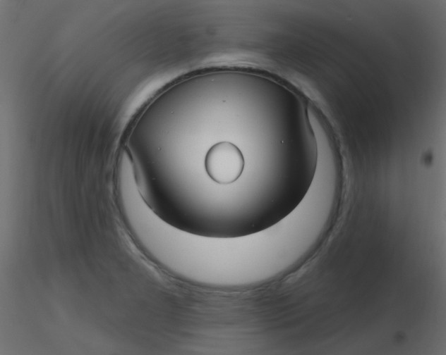 X0000116591277200912312028