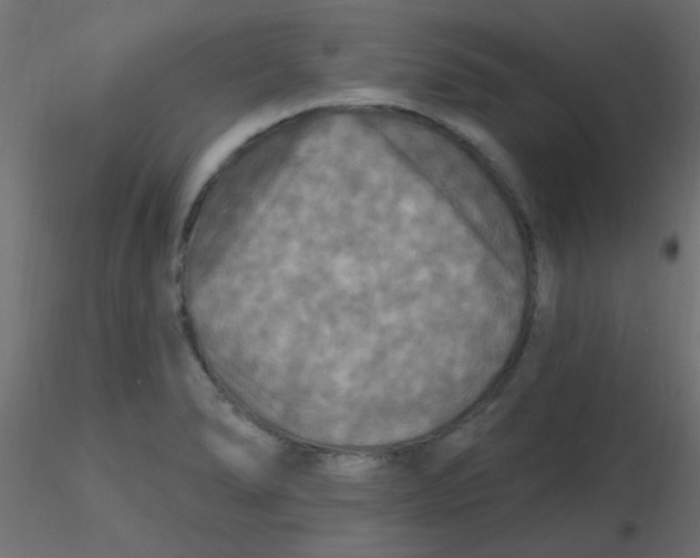 X0000116591278200912312028