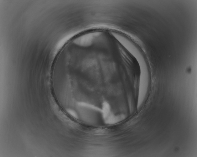 X0000116591279200912312028