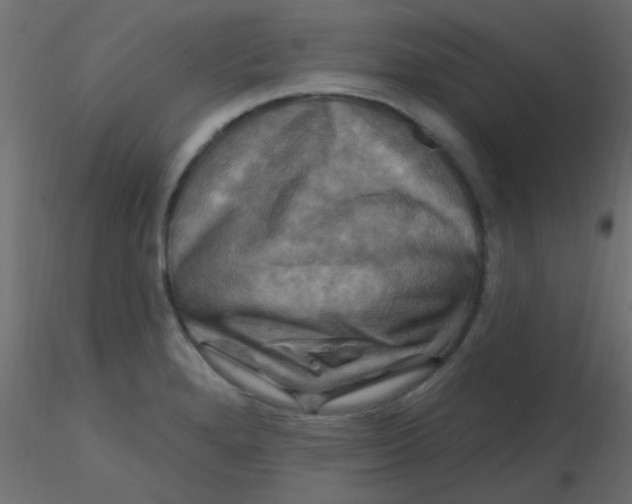 X0000116591280200912312028