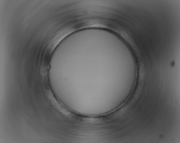 X0000116591281200912312028