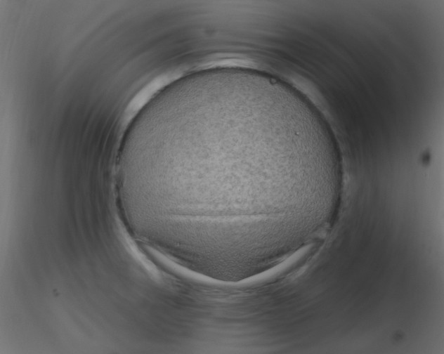 X0000116591282200912312028