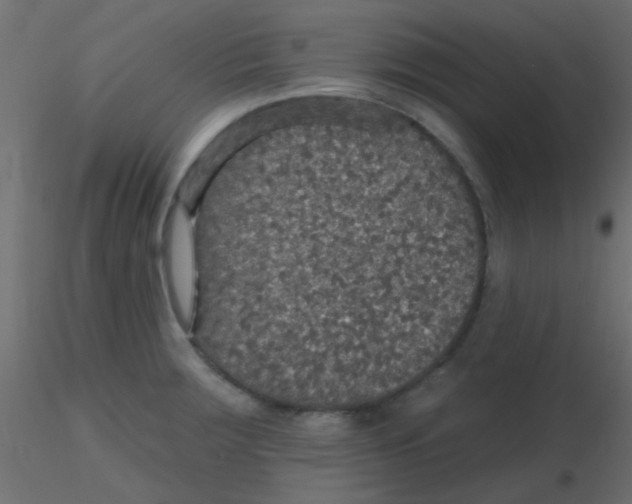 X0000116591283200912312028