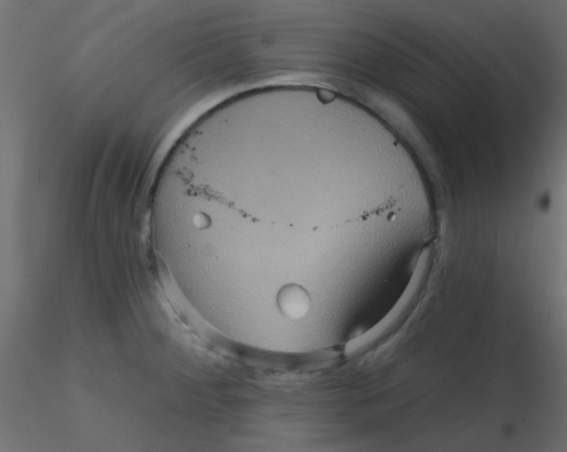 X0000116591284200912312028