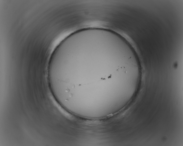 X0000116591285200912312028