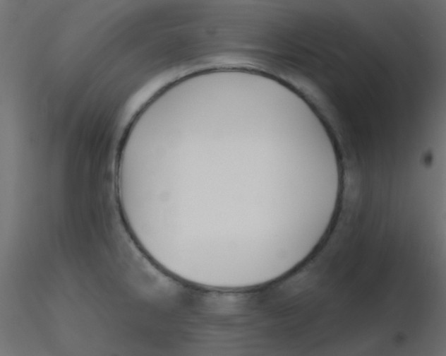 X0000116591286200912312028