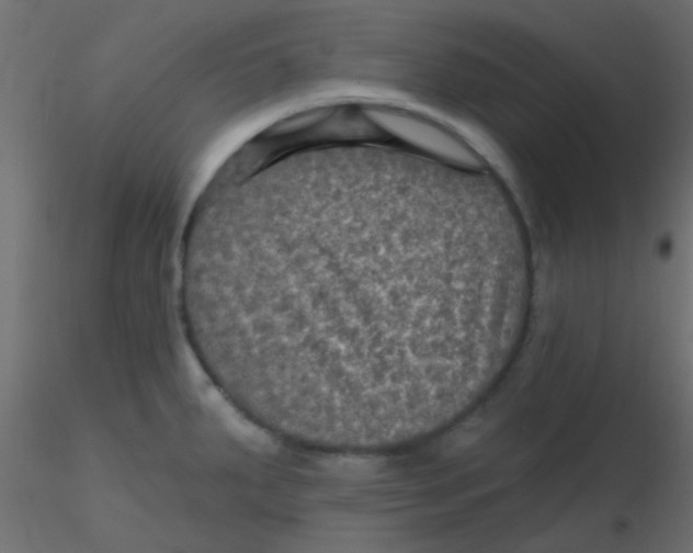 X0000116591287200912312028