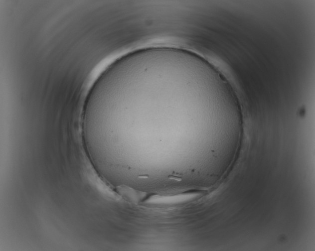 X0000116591288200912312028