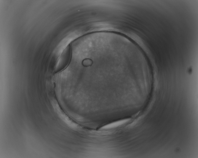 X0000116591289200912312028