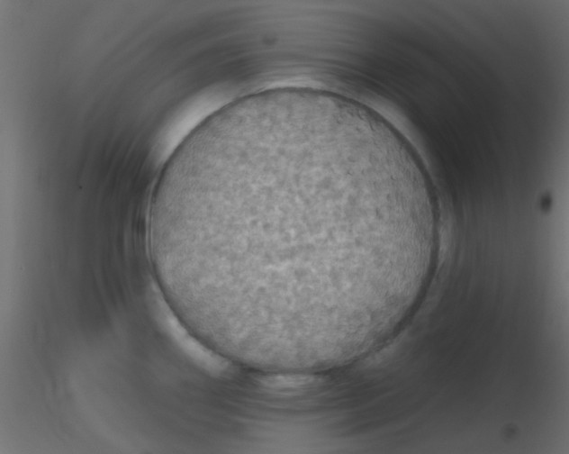 X0000116591290200912312028