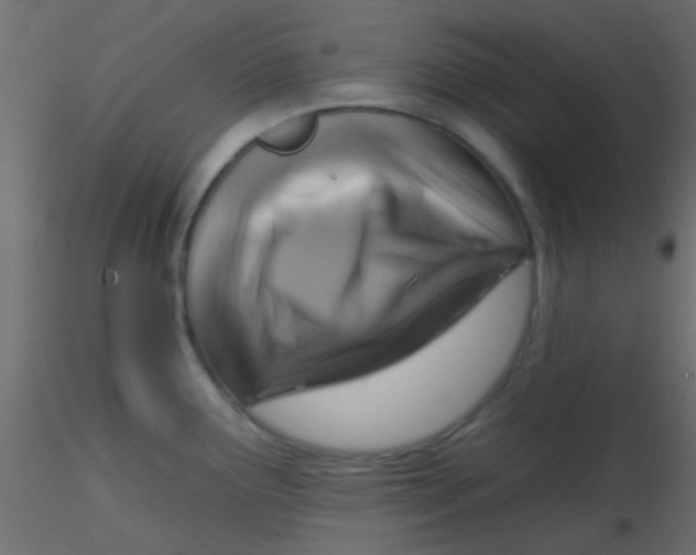 X0000116591291200912312028