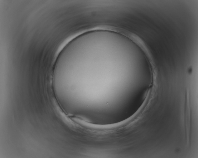 X0000116591292200912312028