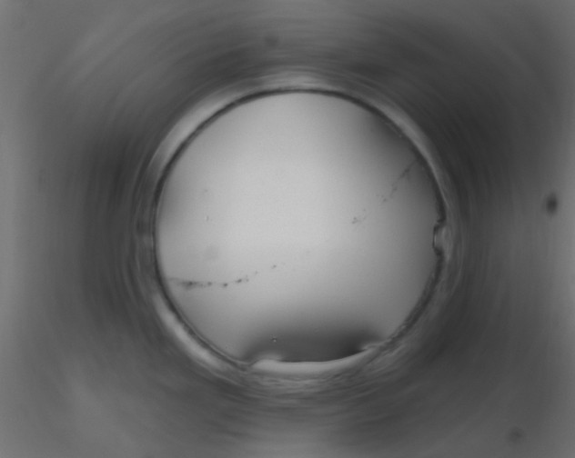 X0000116591293200912312028