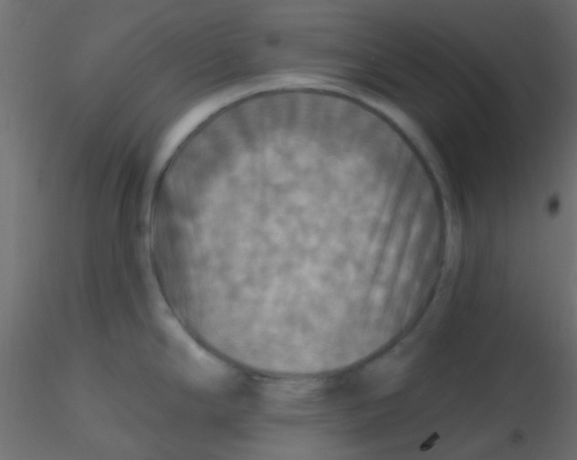 X0000116591294200912312028