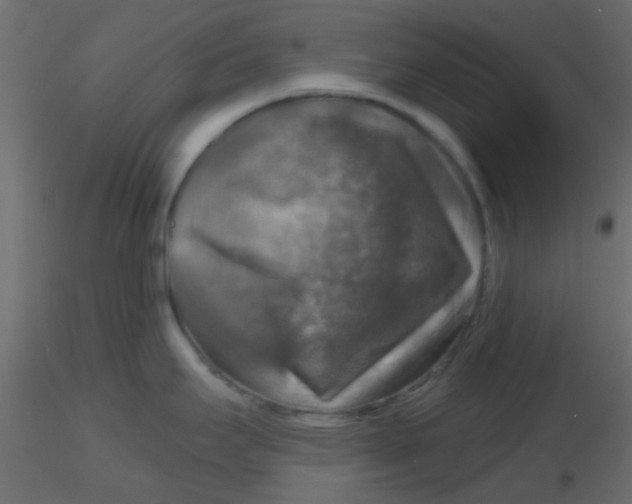 X0000116591295200912312028