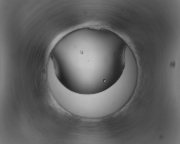 X0000116591296200912312028