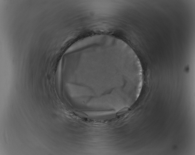 X0000116591297200912312027