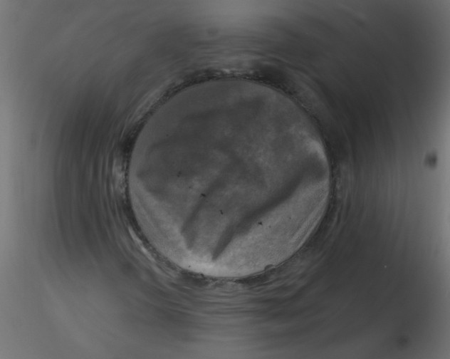 X0000116591298200912312027