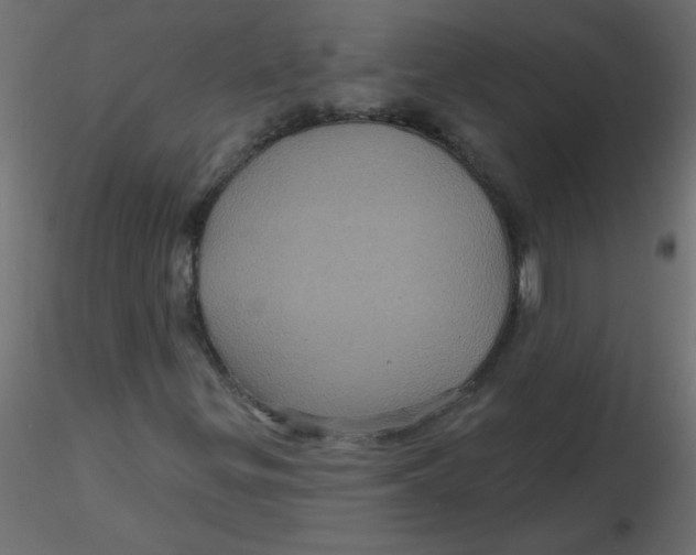 X0000116591299200912312027