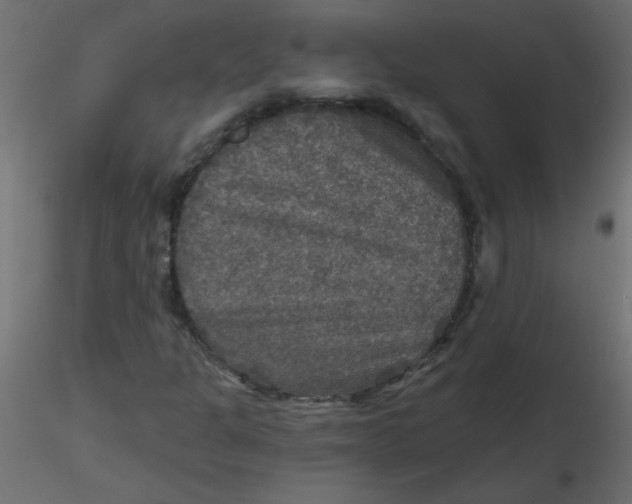 X0000116591301200912312027