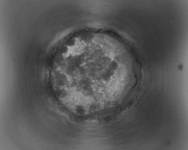 X0000116591302200912312027