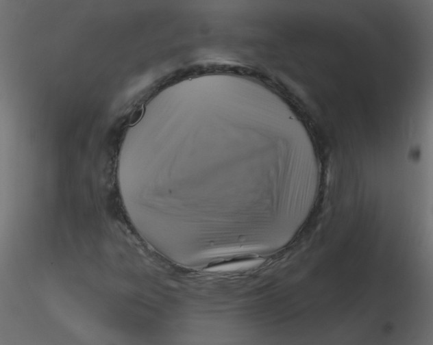 X0000116591303200912312027