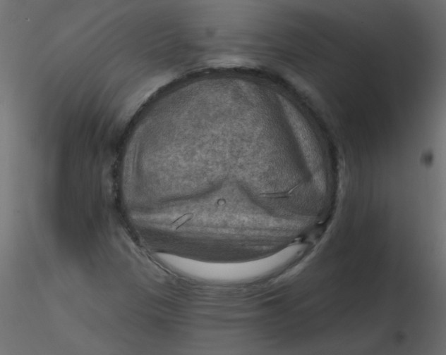 X0000116591305200912312027