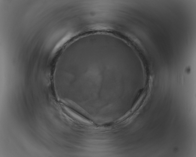 X0000116591306200912312028