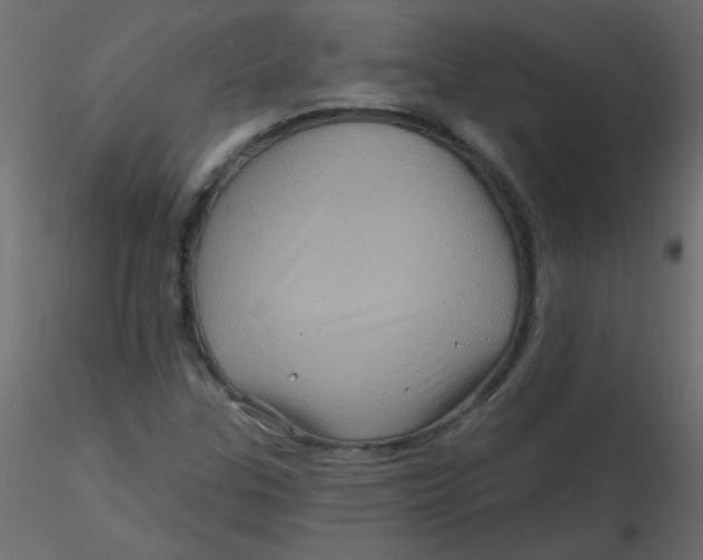 X0000116591307200912312028