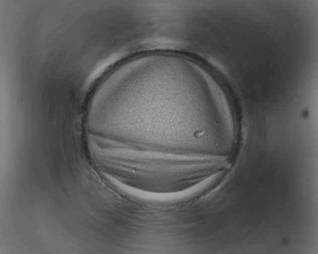 X0000116591309200912312028