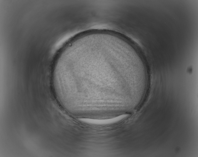 X0000116591311200912312028