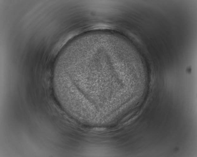 X0000116591313200912312028