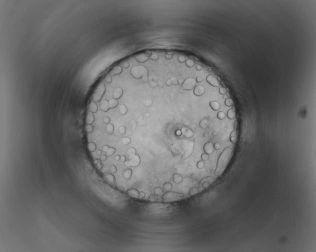 X0000116591314200912312028