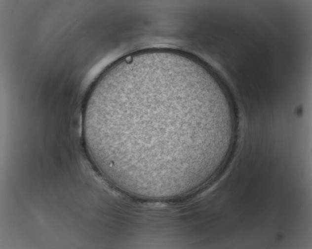 X0000116591317200912312028