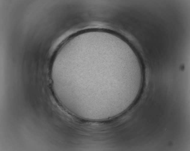 X0000116591318200912312028