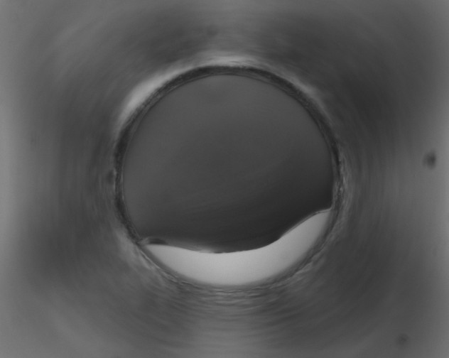 X0000116591319200912312028