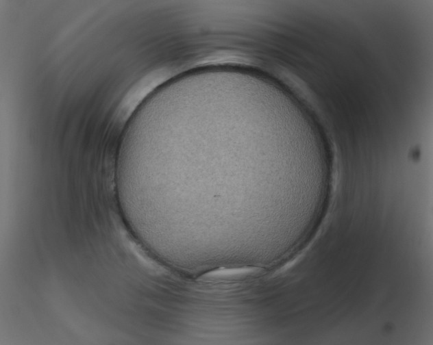 X0000116591321200912312028