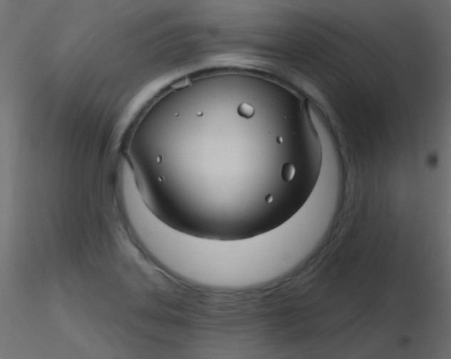 X0000116591323200912312028