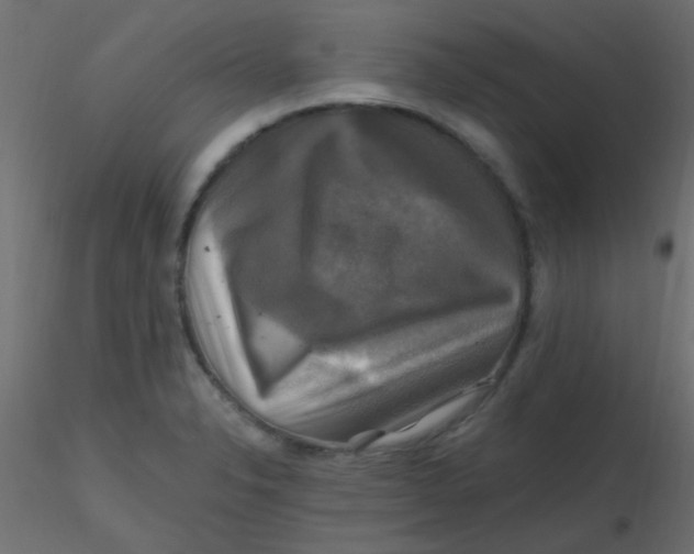 X0000116591326200912312028