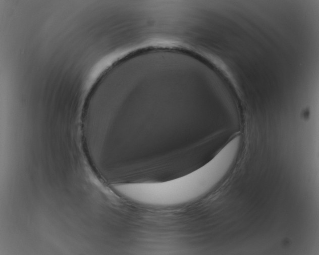 X0000116591327200912312028