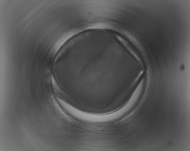 X0000116591329200912312028