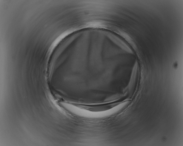 X0000116591331200912312028