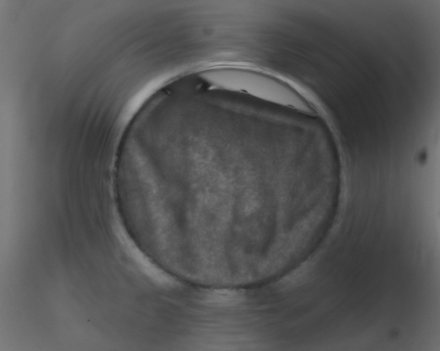 X0000116591333200912312028